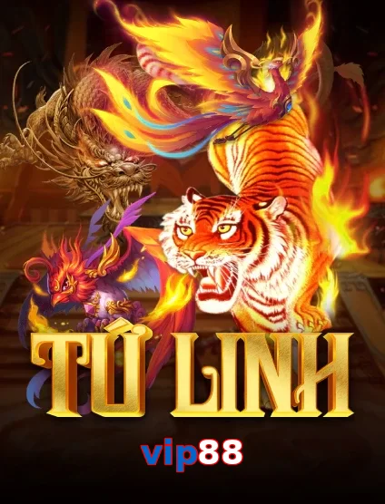 vip88